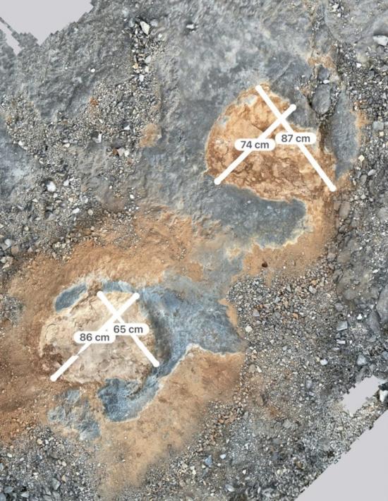 Novos trilhos de pegadas de dinossáurios em Torres Novas